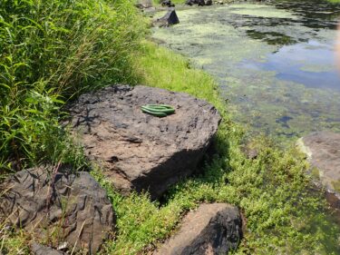 河童の足跡を辿る：生月島北部編